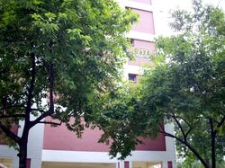Blk 717 Jurong West Street 71 (Jurong West), HDB 4 Rooms #589203251